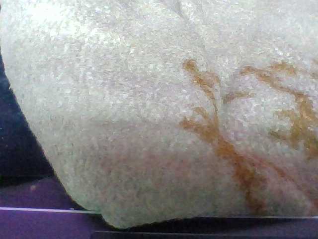 Elyah1a live cam on BongaCams