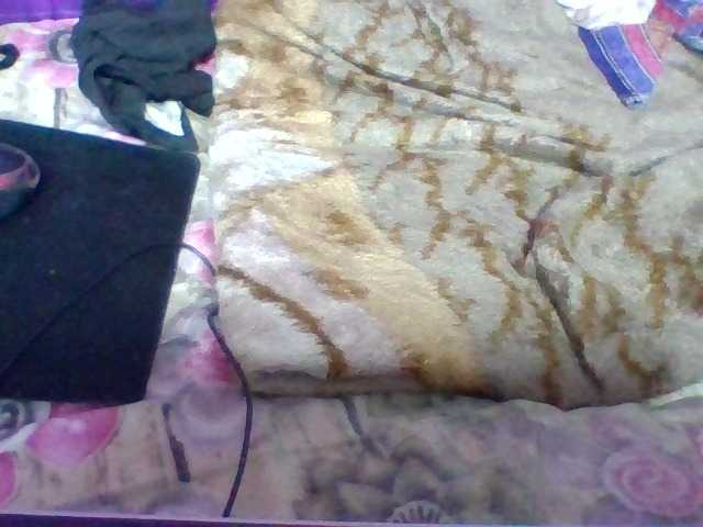 Elyah1a