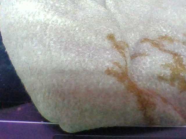 Elyah1a live cam on BongaCams