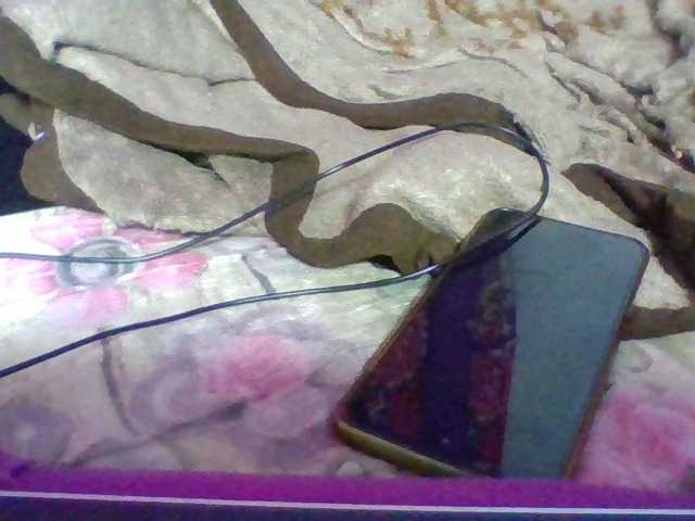 Elyah1a