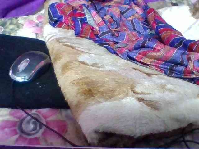 Elyah1a webcam