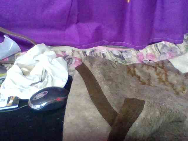 Elyah1a webcam