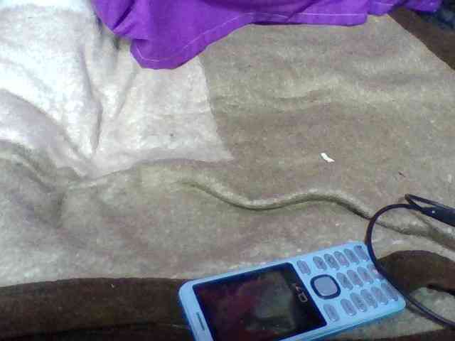 Elyah1a webcam