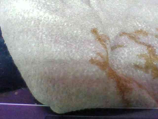 Elyah1a webcam