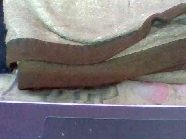 Elyah1a webcam