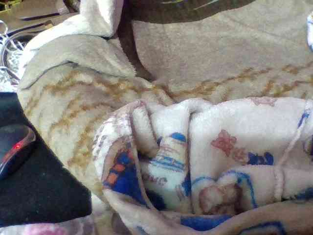 Elyah1a webcam