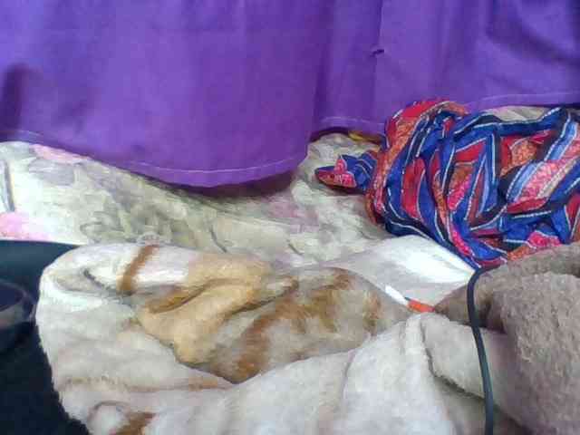 Elyah1a webcam