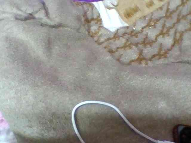 Elyah1a webcam