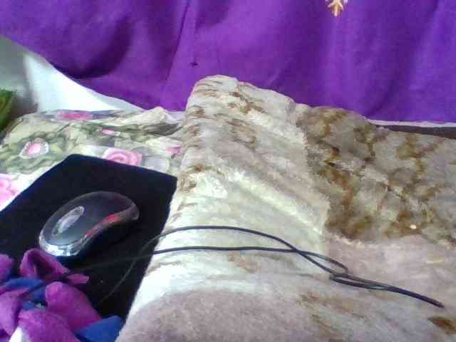Elyah1a webcam