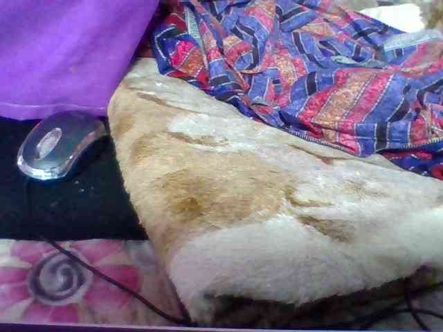 Elyah1a webcam