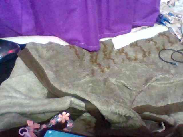 Elyah1a webcam
