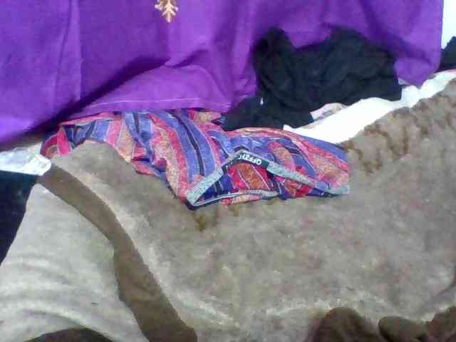 Elyah1a webcam