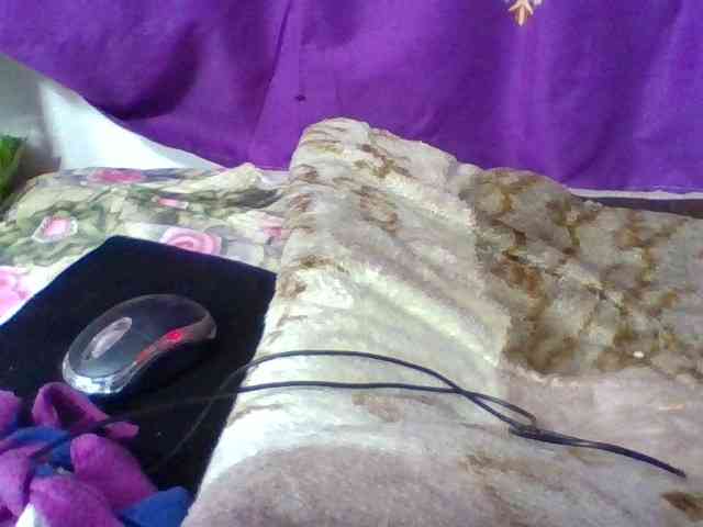 Elyah1a webcam