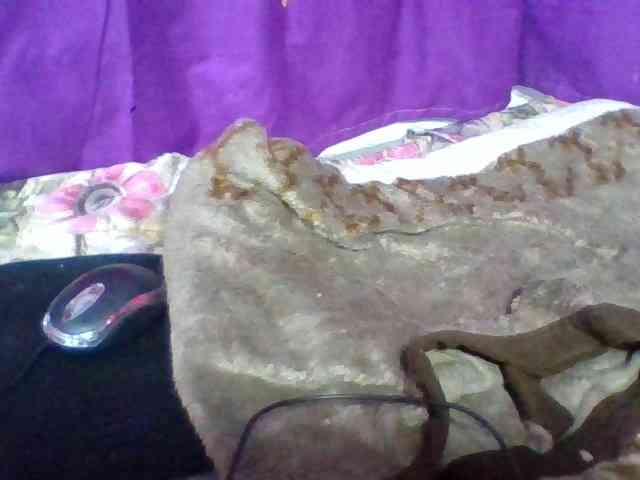 Elyah1a webcam