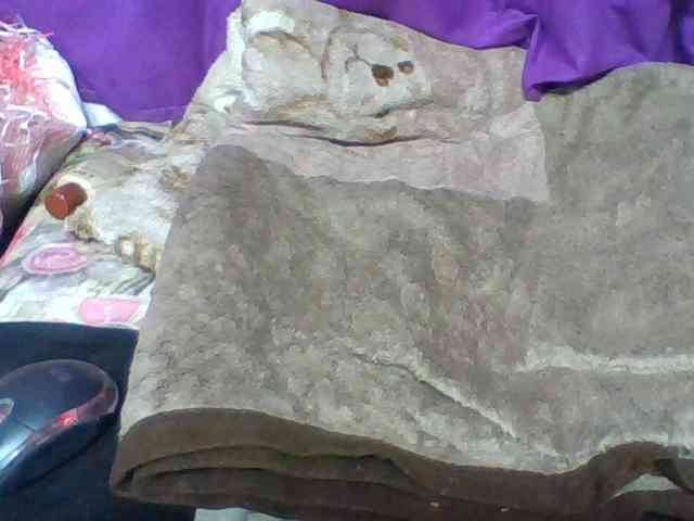 Elyah1a webcam