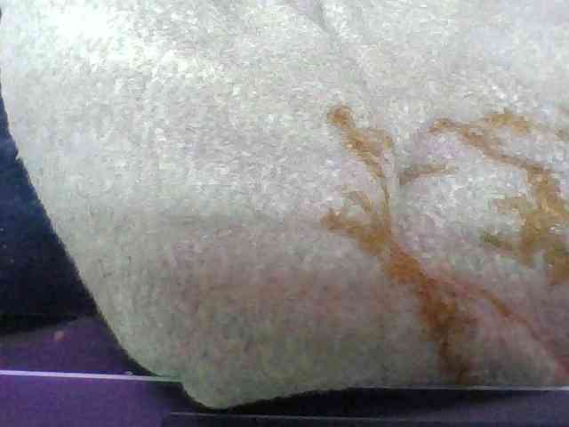 Elyah1a webcam