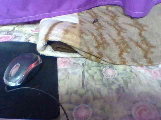 Elyah1a webcam