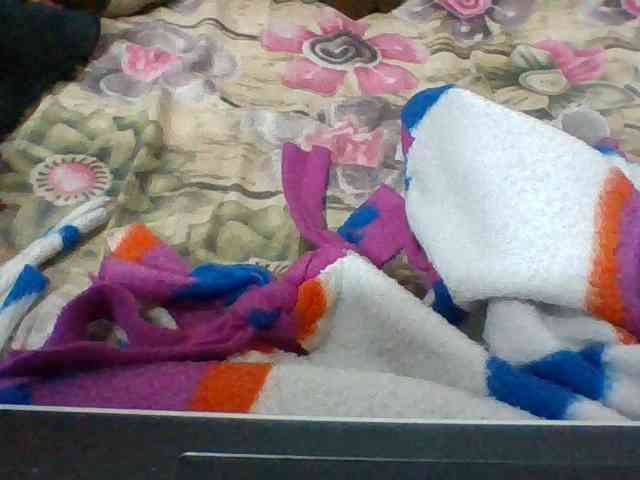 Elyah1a