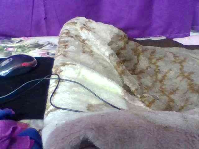 Elyah1a webcam