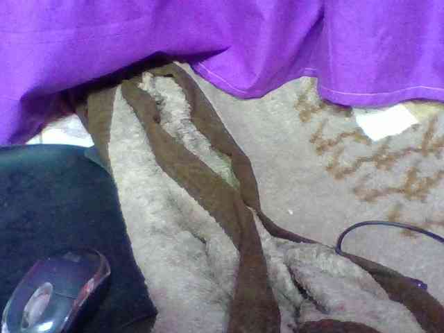 Elyah1a webcam