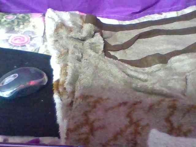 Elyah1a webcam