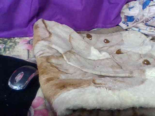 Elyah1a webcam