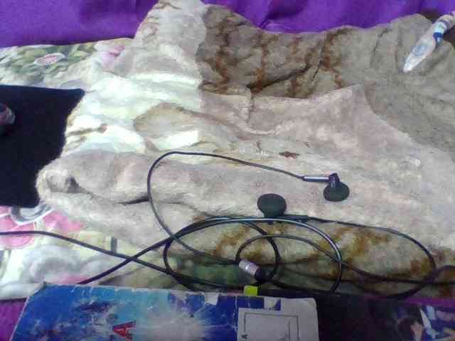 Elyah1a webcam