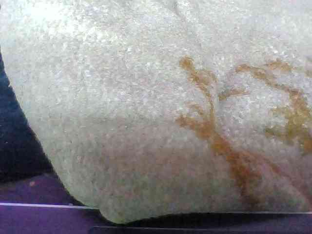 Elyah1a webcam