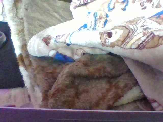 Elyah1a webcam