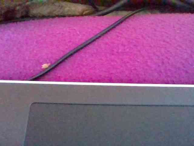 Elyah1a webcam
