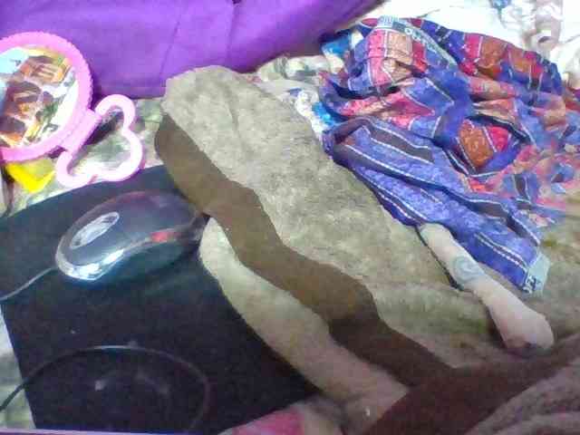 Elyah1a webcam