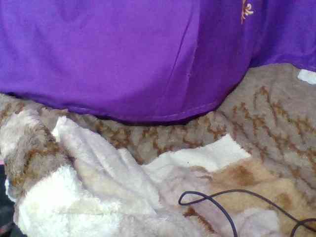 Elyah1a webcam
