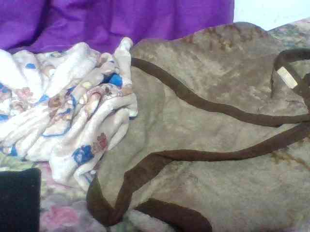Elyah1a webcam