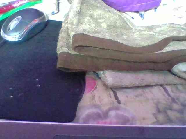 Elyah1a webcam