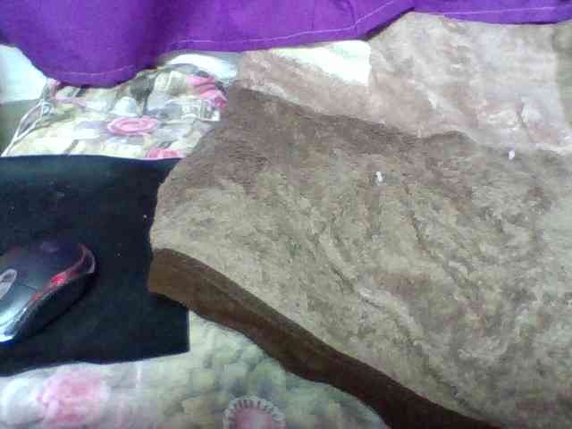 Elyah1a webcam