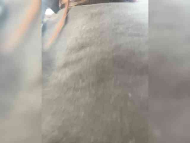 CindyColson webcam