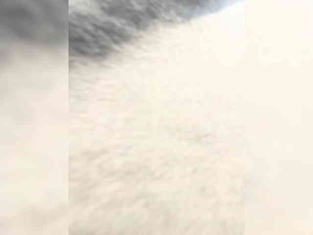 CindyColson webcam