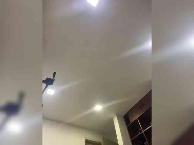 CindyColson webcam