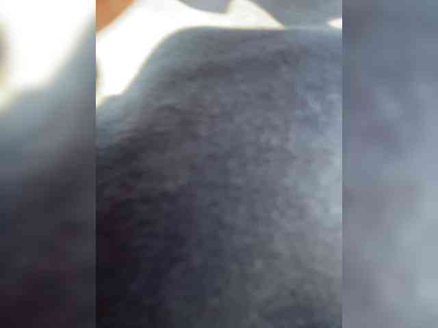 CindyColson webcam