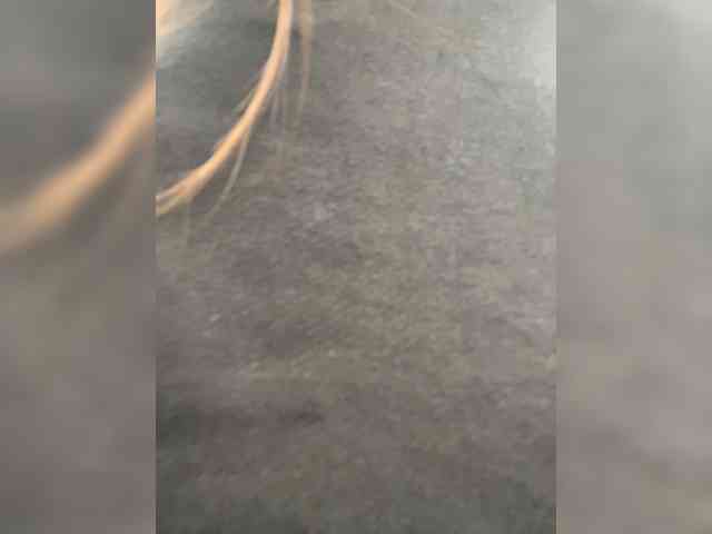 CindyColson webcam