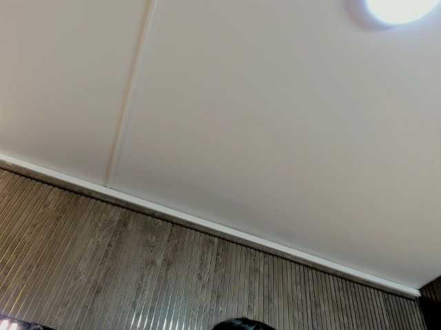 AntonellaNaugthy live webcam show