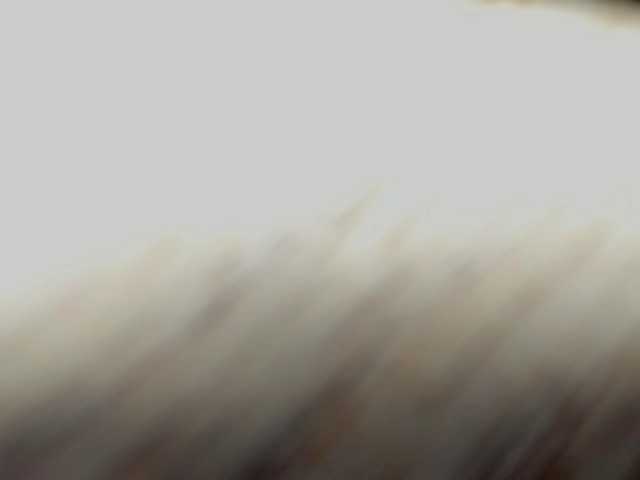 AntonellaNaugthy live cam on BongaCams