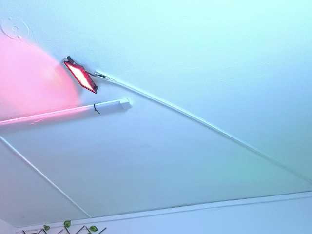 AntonellaNaugthy live cam on BongaCams