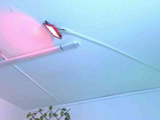 AntonellaNaugthy webcam