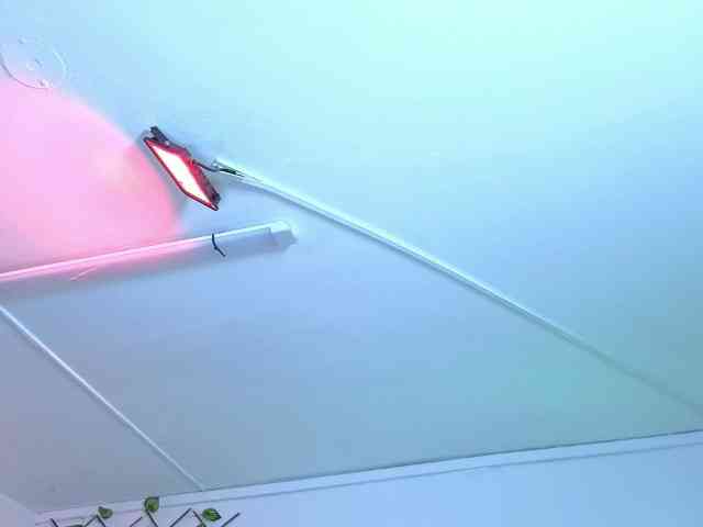 AntonellaNaugthy webcam