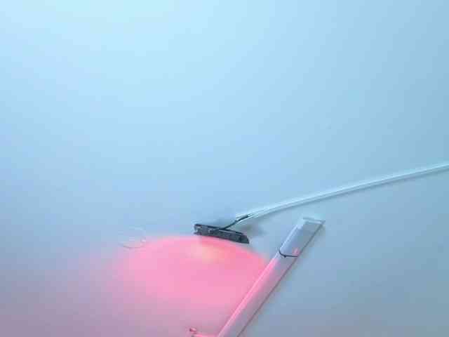 AntonellaNaugthy webcam