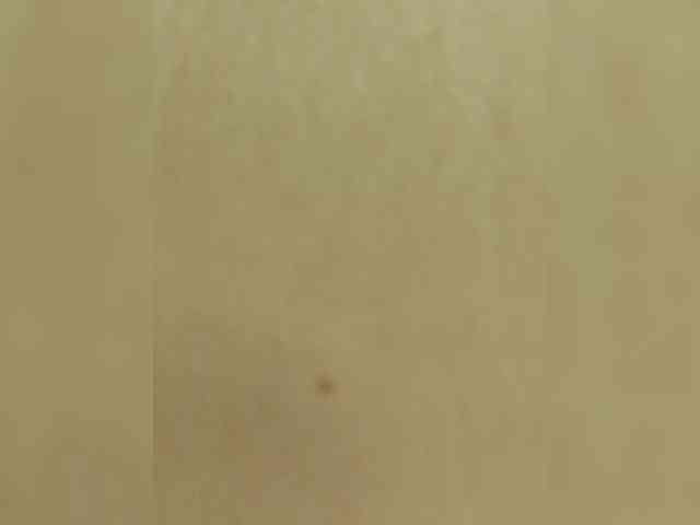 AlisaXCristal webcam