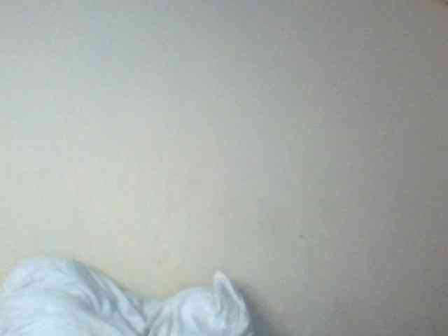 Dina-Nina webcam