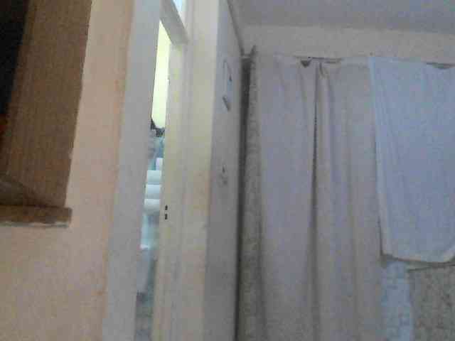 Dina-Nina webcam