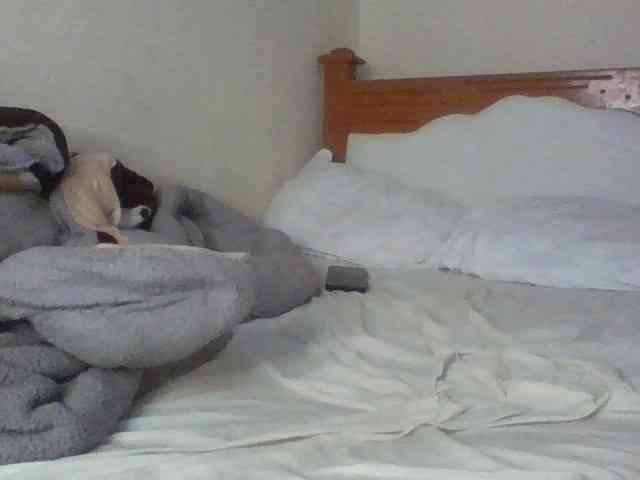 Dina-Nina webcam